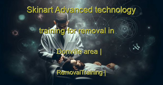Skinart Advanced technology training for removal in Donville area | RemovalTraining | RemovalClasses | SkinartTraining-France